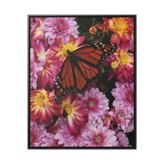 Butterfly & Mums Gallery Canvas Wraps. Multiple Sizes & Frame Finishes